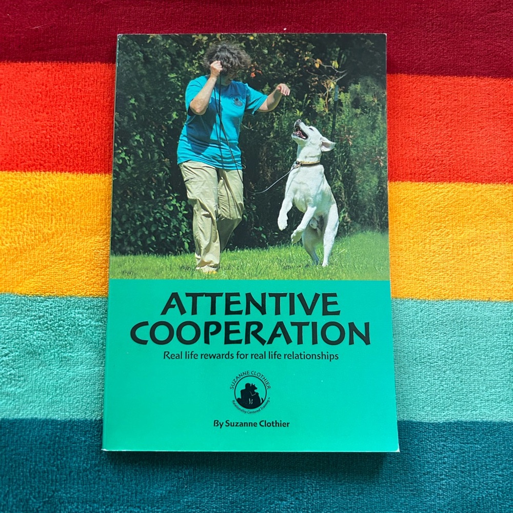Attentive Cooperation by Suzanne Clothier